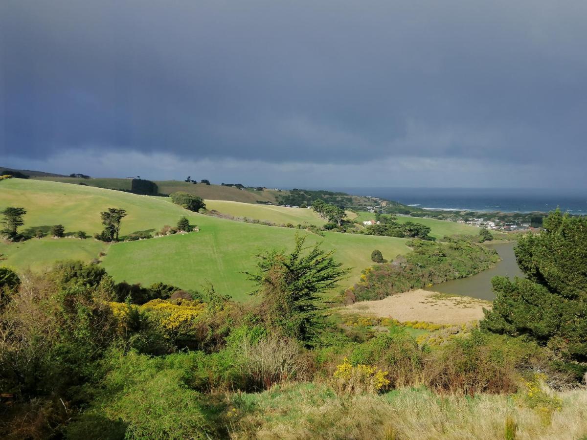 Gateway To Peninsula With Sea Views Lejlighed Dunedin Eksteriør billede